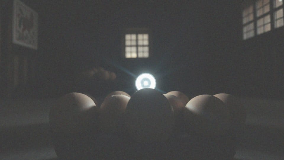 Jakie są najlepsze warunki do prześwietlania jajek?