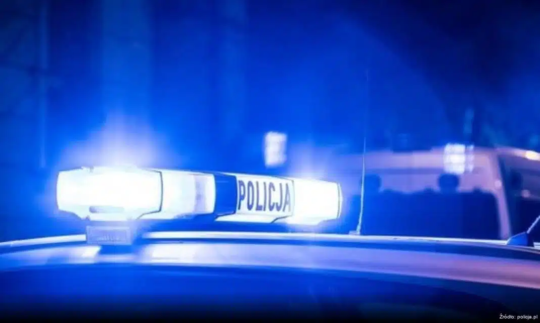 Dzień Bezpiecznego Internetu – 10 lutego jako okazja do refleksji nad bezpieczeństwem online